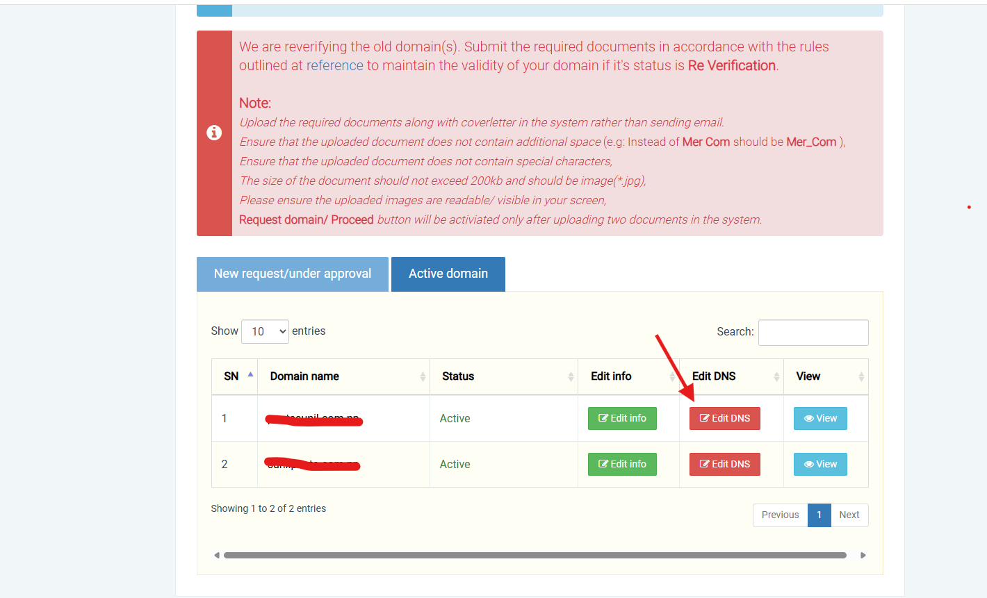 nameserver interface .np domain - dns setup